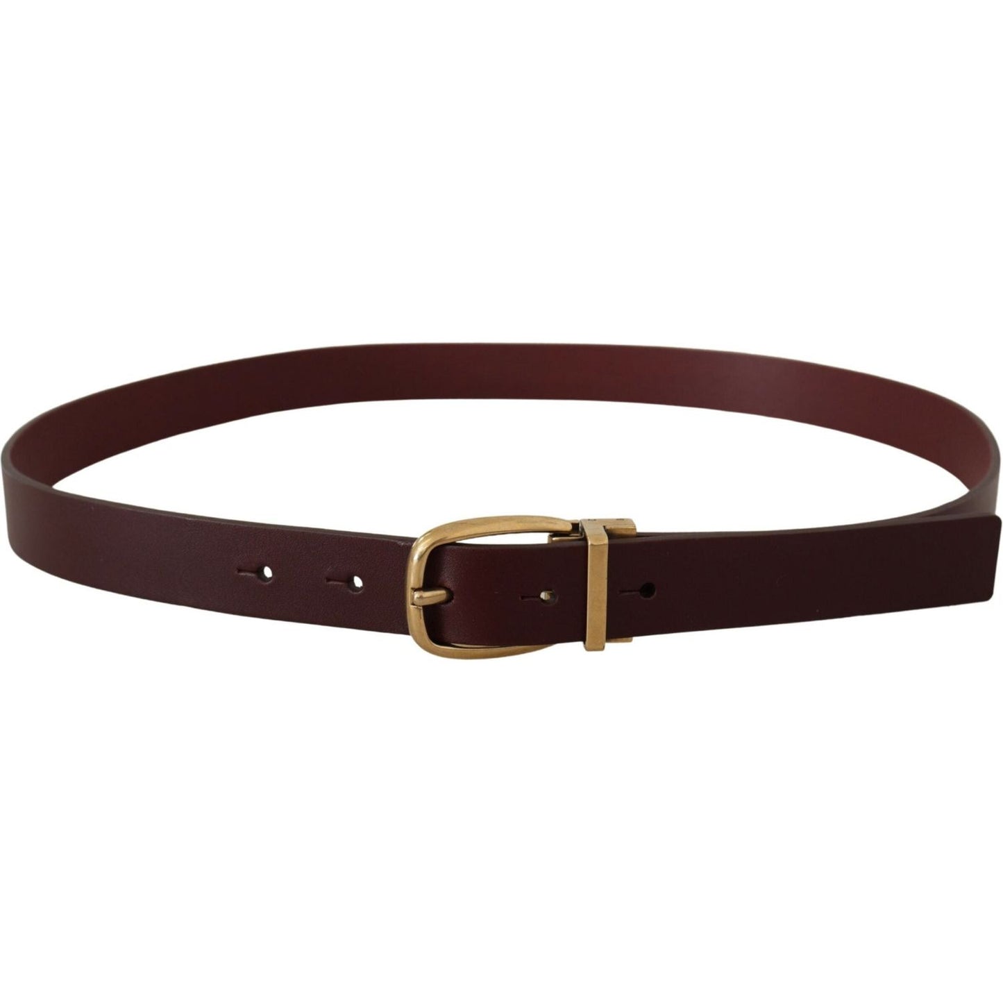 Dolce & Gabbana Elegant Brown Leather Belt with Gold Buckle Dolce & Gabbana Dark Slate Gray