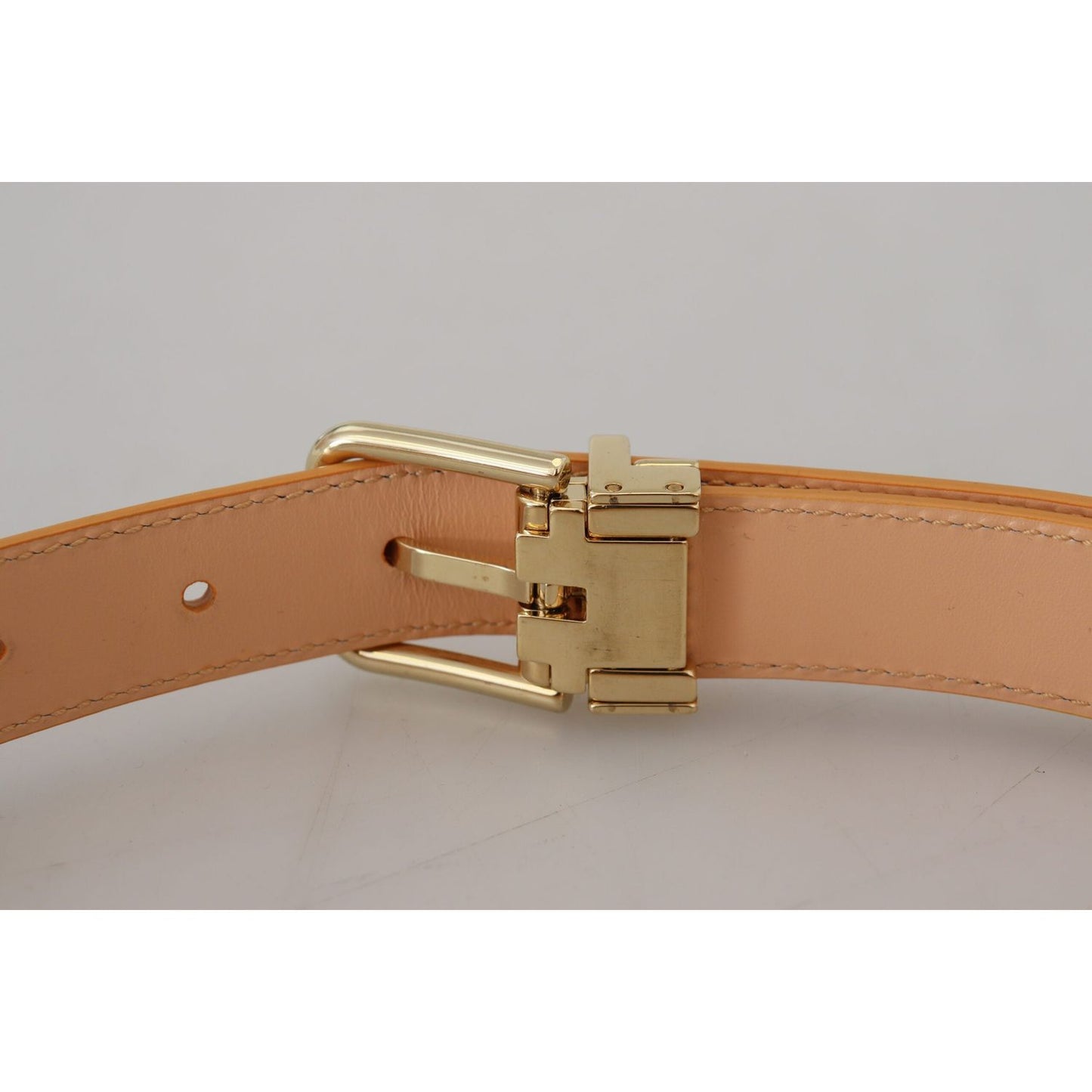 Dolce & Gabbana Beige Exotic Leather Gold Metal Buckle Belt Dolce & Gabbana Dark Gray