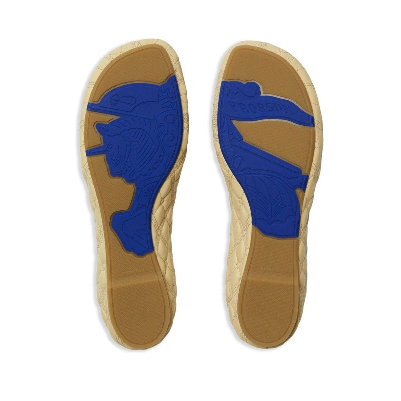 Burberry Sadler leather ballerinas