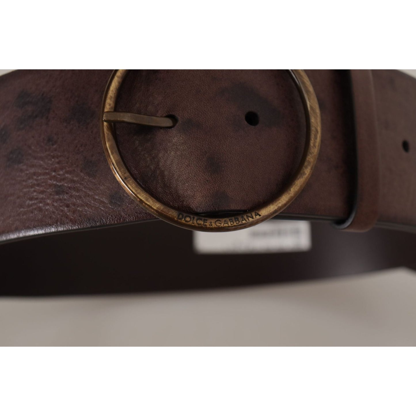 Dolce & Gabbana Dark Brown Wide Calf Leather Logo Round Buckle Belt