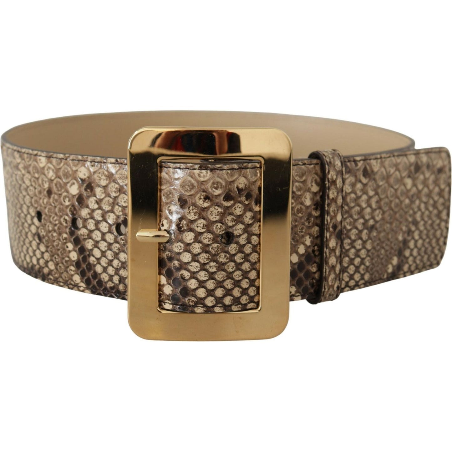 Dolce & Gabbana Brown Exotic Wide Waist Leather Gold Metal Buckle Belt