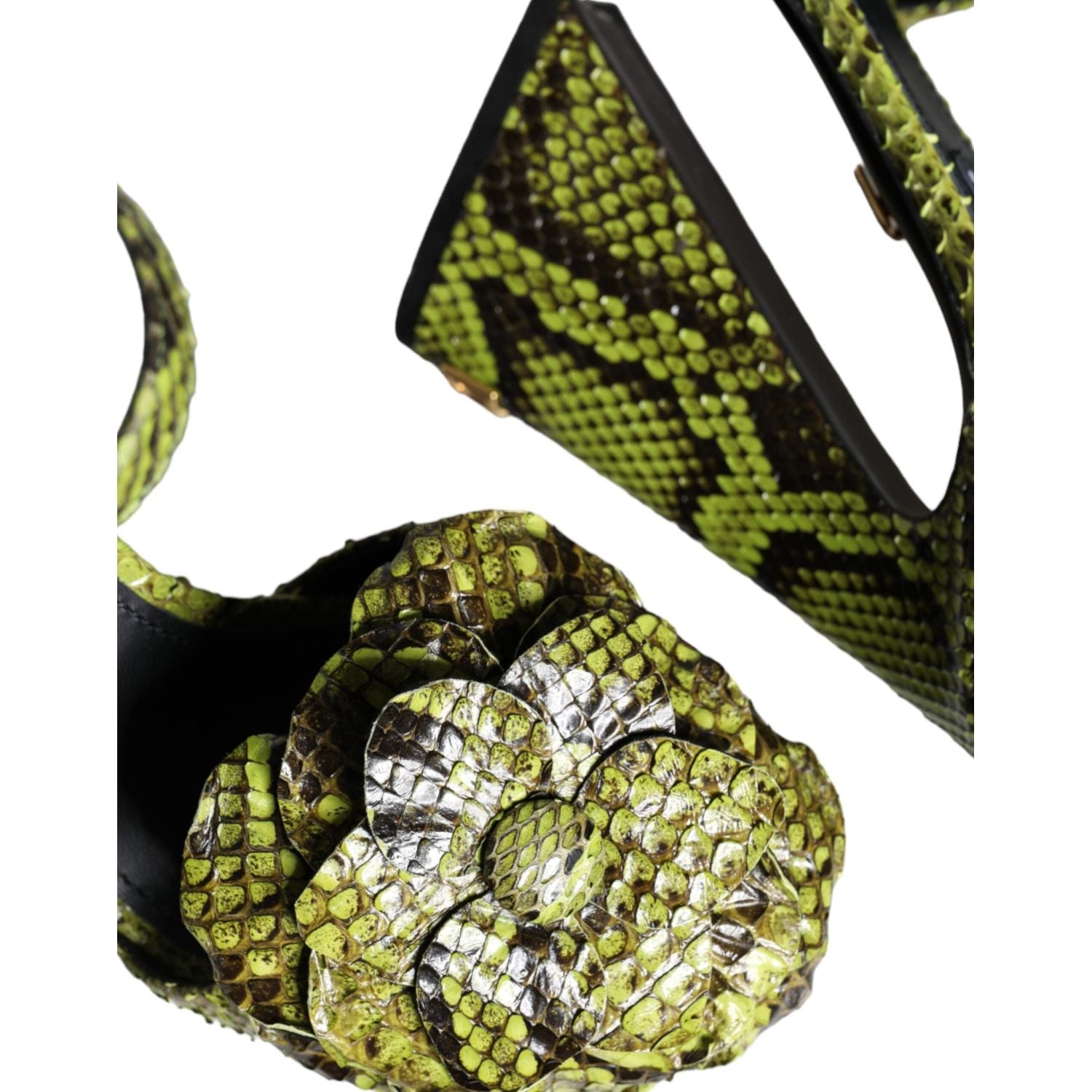 صندل بكعب عال من الجلد الاستوائي باللون الأخضر من دولتشي آند غابانا