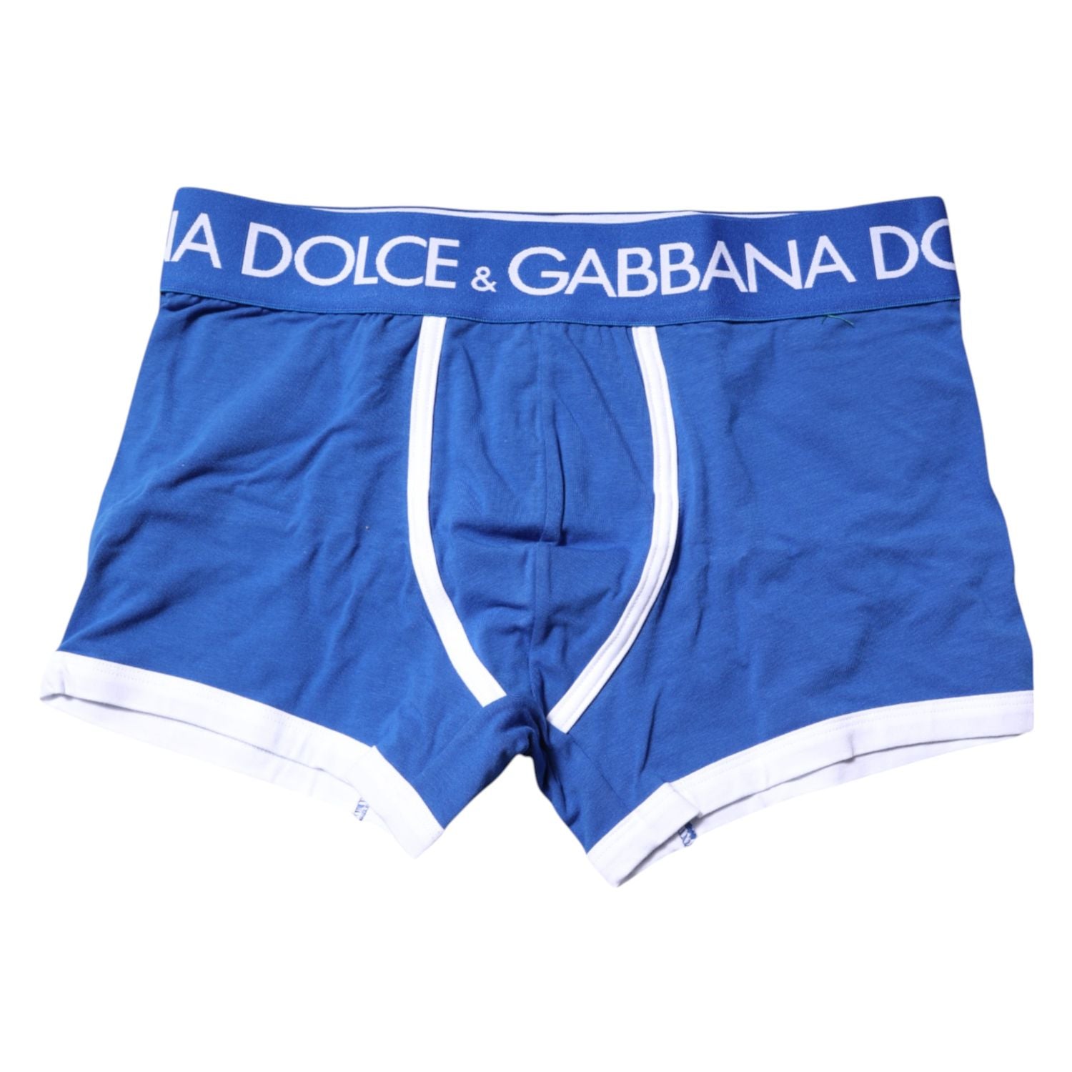 Dolce & Gabbana Blue Logo Waist Regular Boxer Brief Underwear