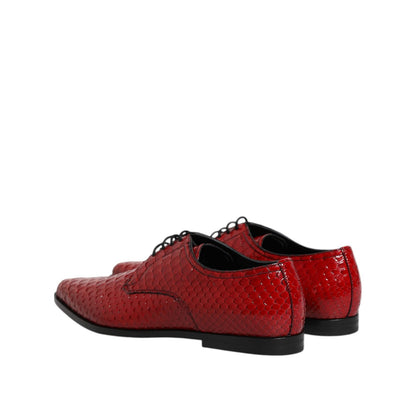 Dolce & Gabbana Red Exotic Leather Lace Up Dress Derby Shoes