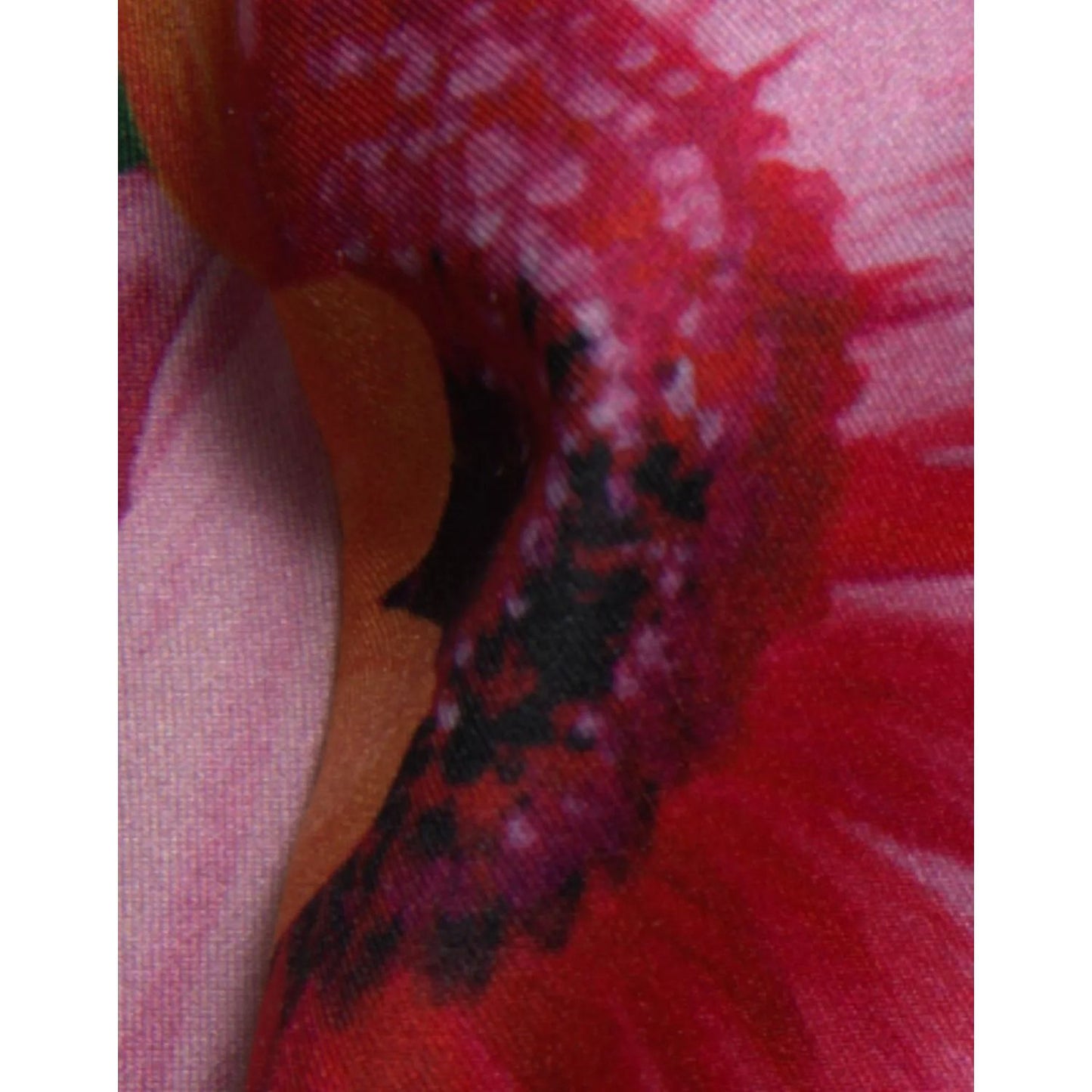 Dolce & Gabbana Multicolor Floral Print Sheath Mini Dress