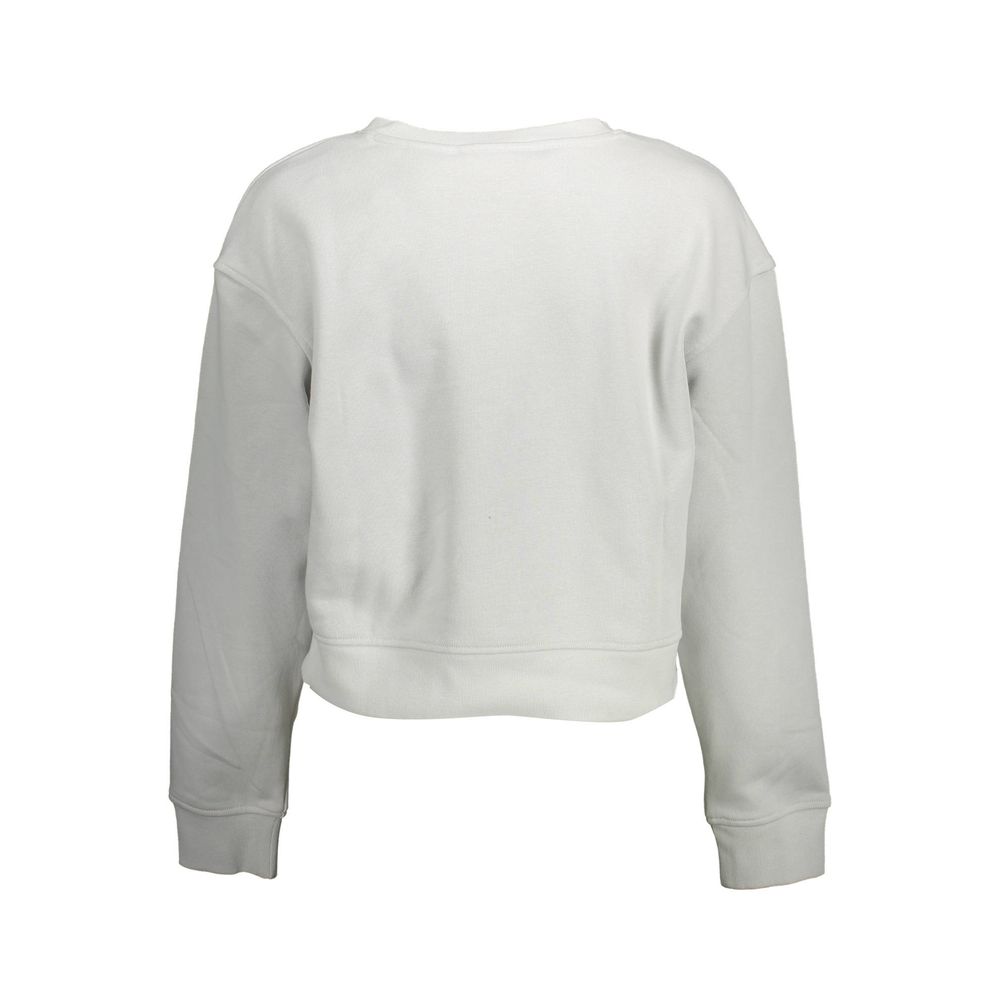 Back view of Calvin Klein Gray Cotton Women Sweater with long sleeves and round neck.