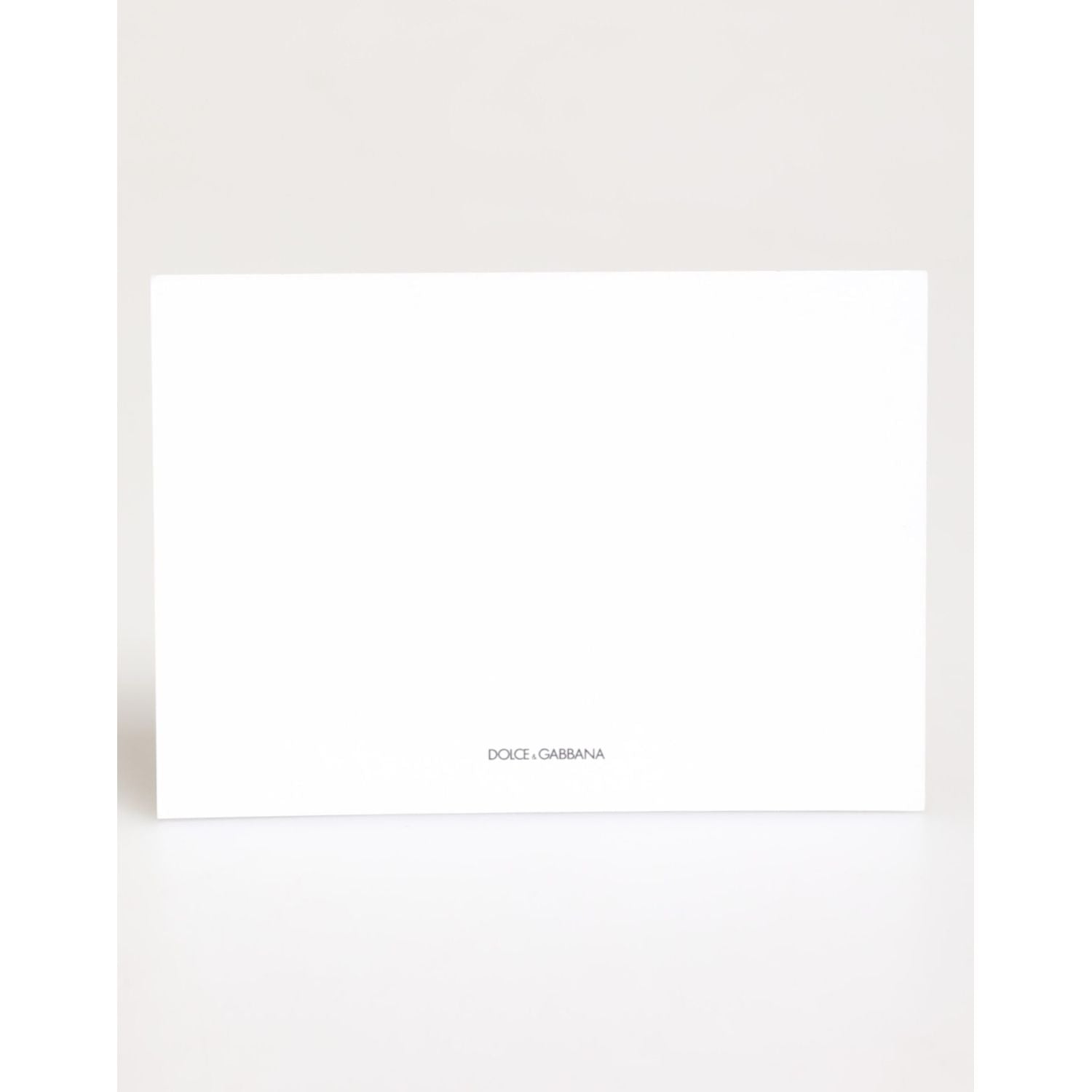 Dolce & Gabbana Multicolor Leopard Print Envelope Paper Post Card Holder